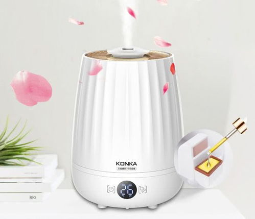 智加設(shè)計(jì)干貨分享 盤點(diǎn)常見小家電與塑料日用品的創(chuàng)新設(shè)計(jì)